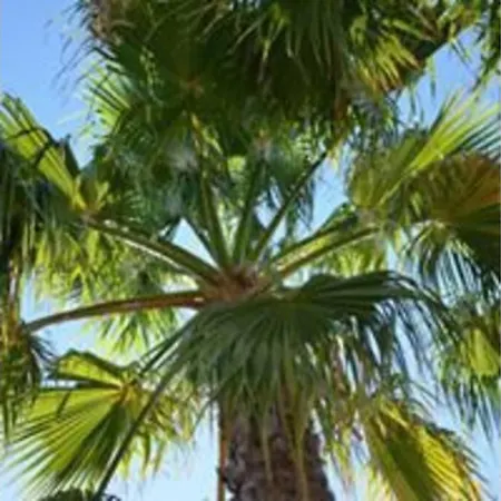 Casa Mici Сasa de vacaciones *