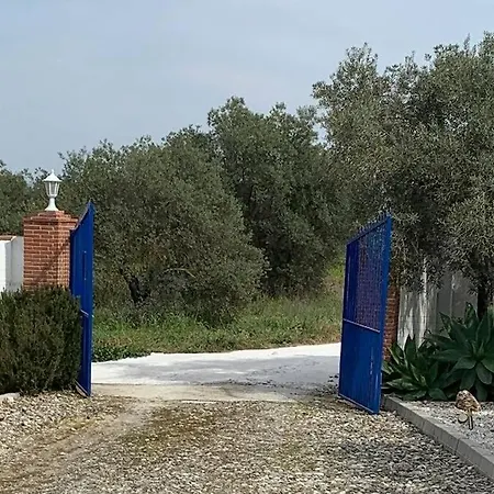 Casa Mici Holiday home